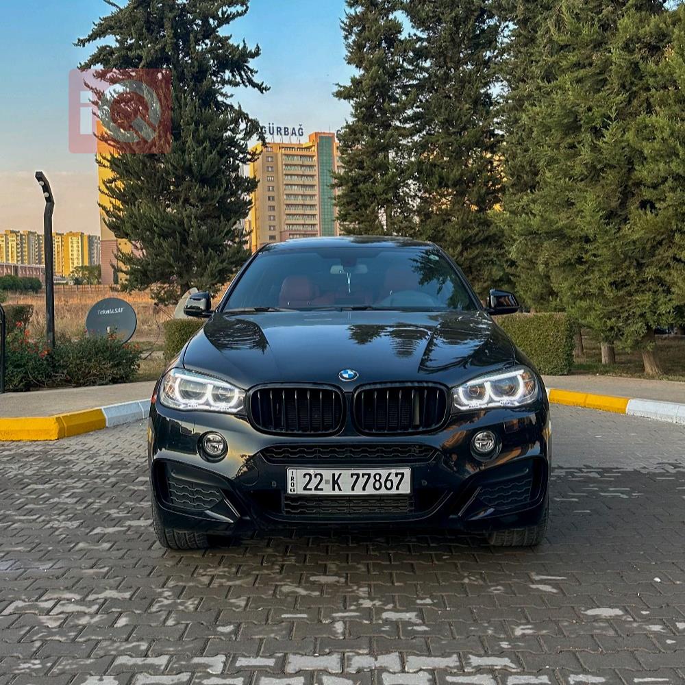 BMW X6